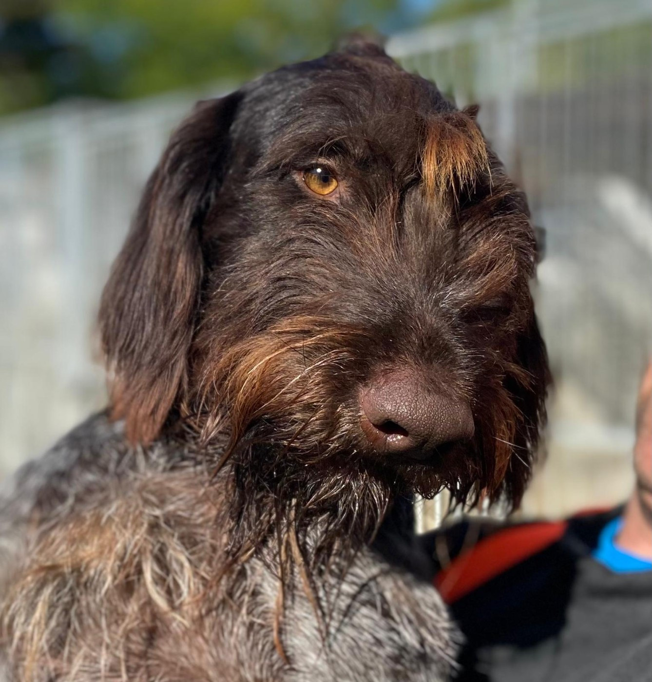 VIRCO Des Marais De L'Essonne