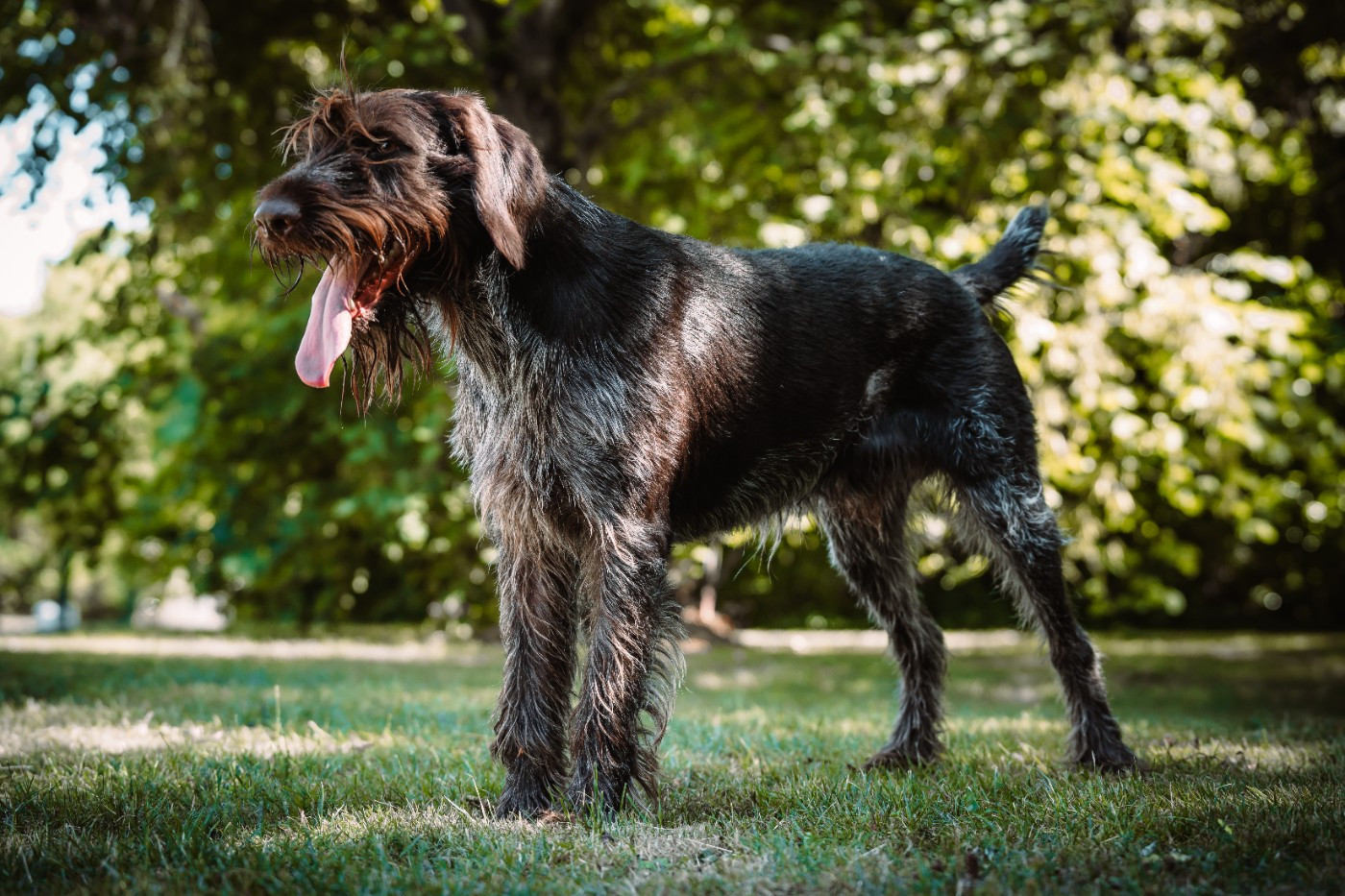 VIRCO Des Marais De L'Essonne